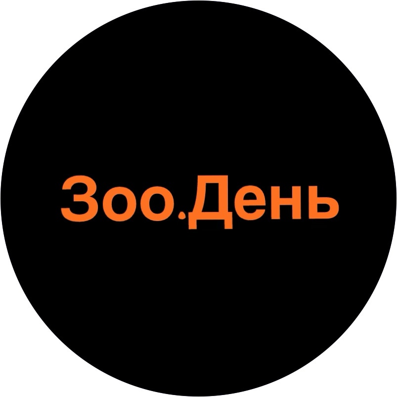 XuY41E2IhBU.jpg?1743858471