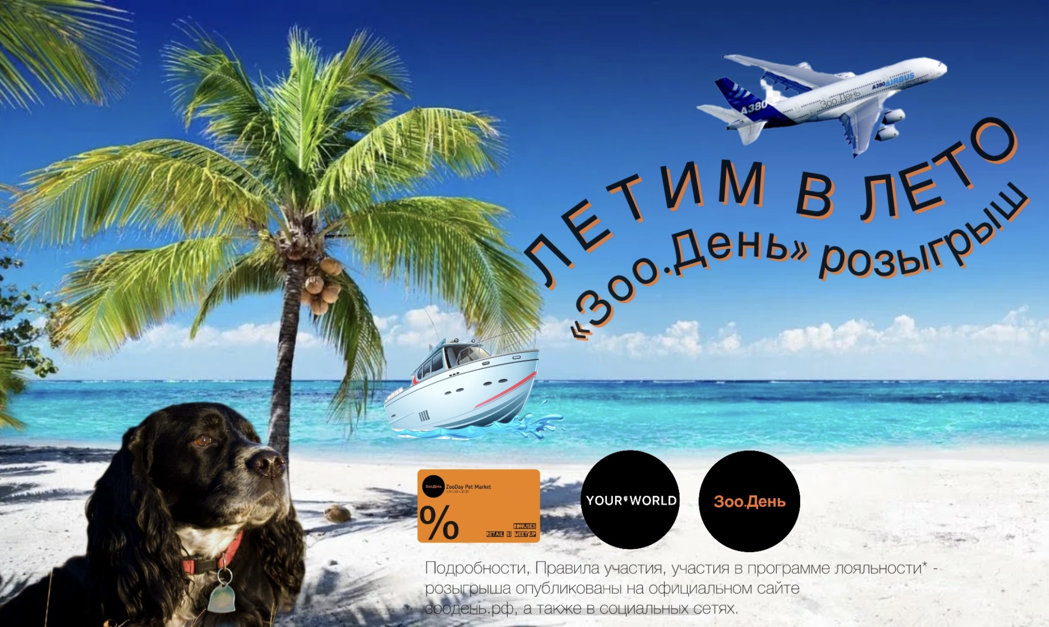 %D0%BB%D0%BE%D0%B3%D0%BE%20%D1%80%D0%BE%